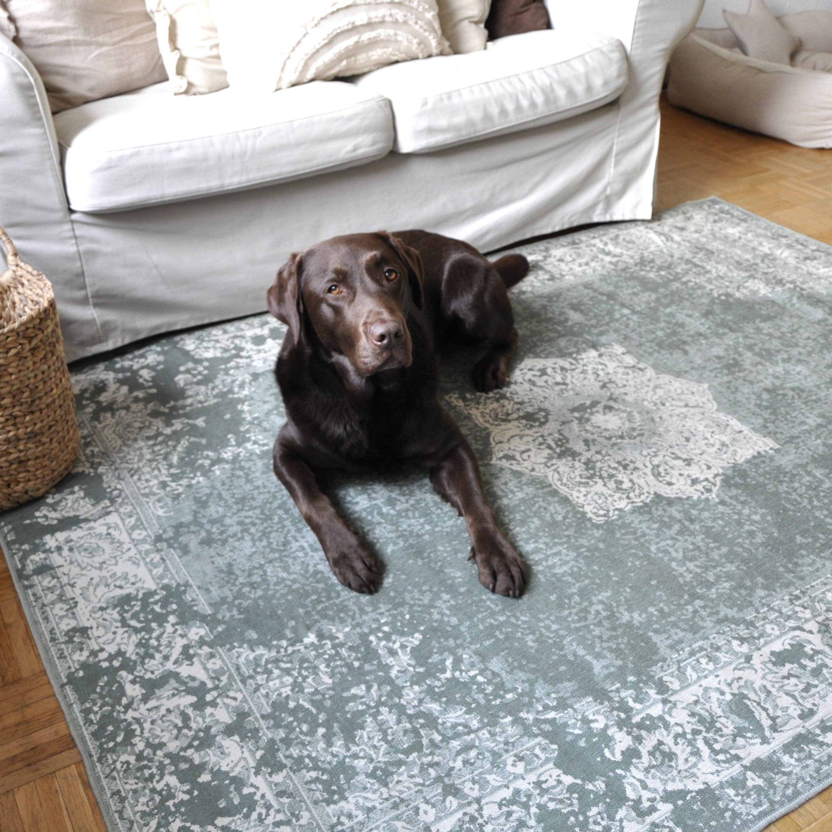 Modern Grid Creme Rug | Ruggable